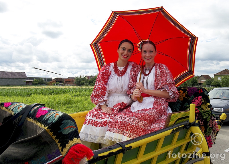 foto br. 579838