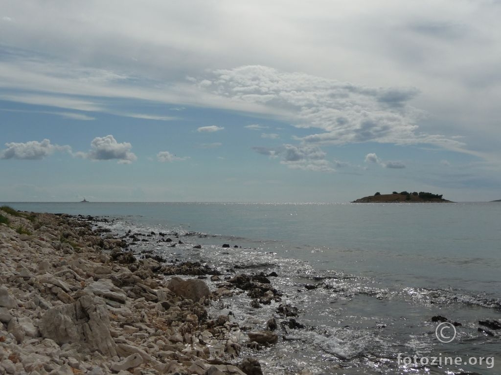 ljepša strana rogoznice