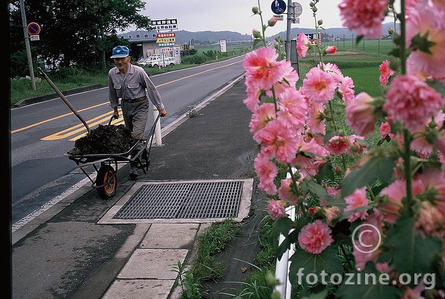Fukushima, 1988.