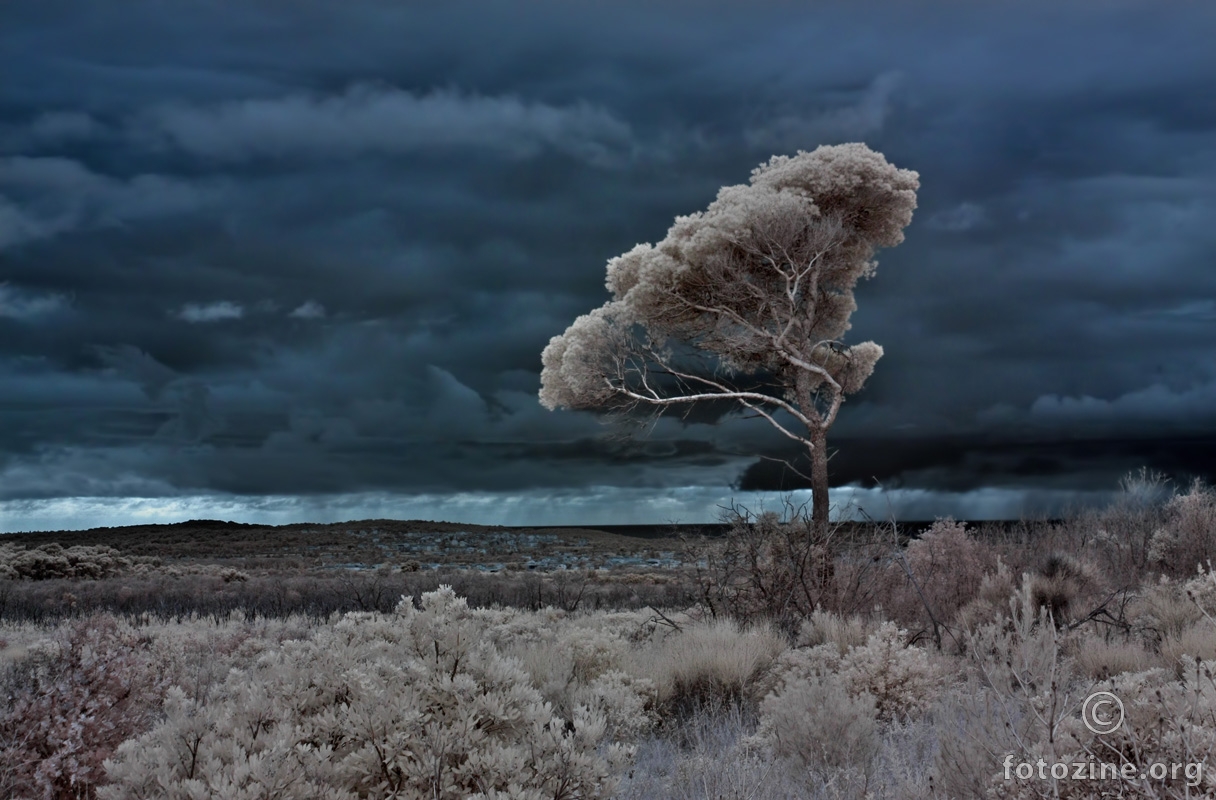 Negdje uz cestu za Pulu 