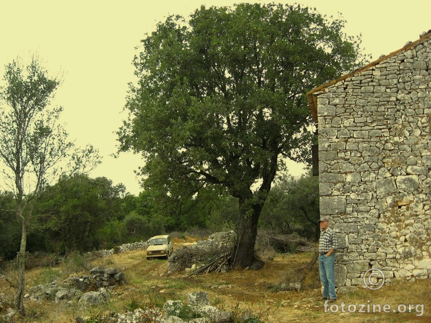 istražitelj prati situaciju ..