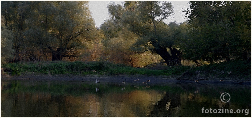 Jesen i divlje patke na jezeru Sakadaš.