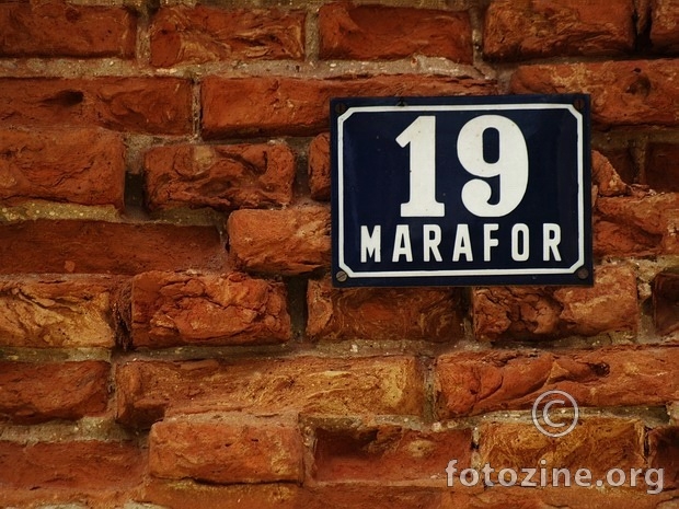 Marafor 19
