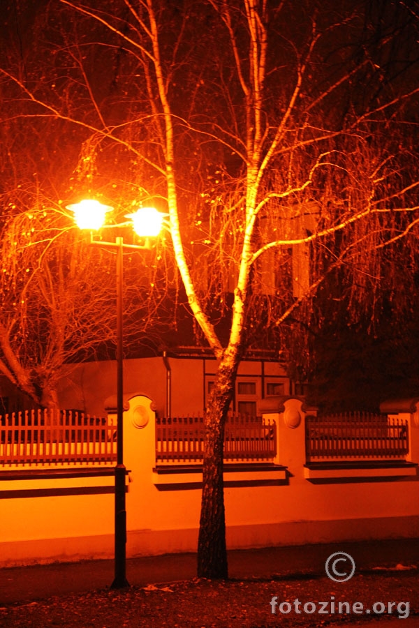 lampa i breza