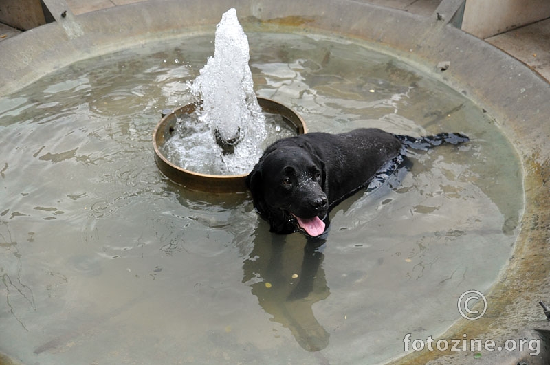 hlađenje u fontani
