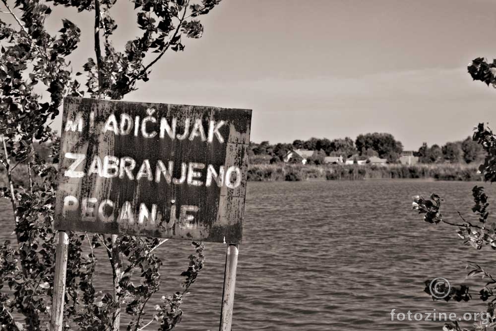 Mladičnjak
