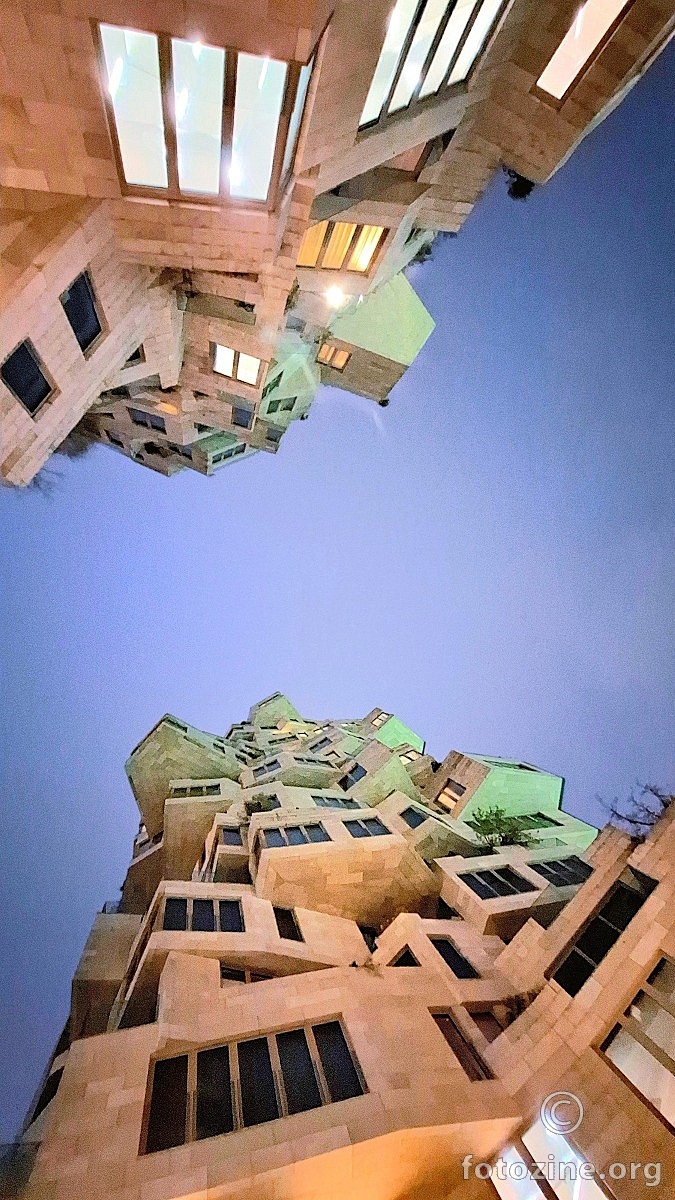 The Valley Amsterdam iz žablje perspektive