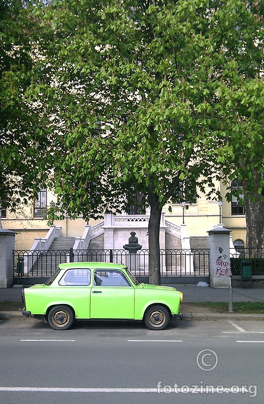 Zeleno - volim te zeleno