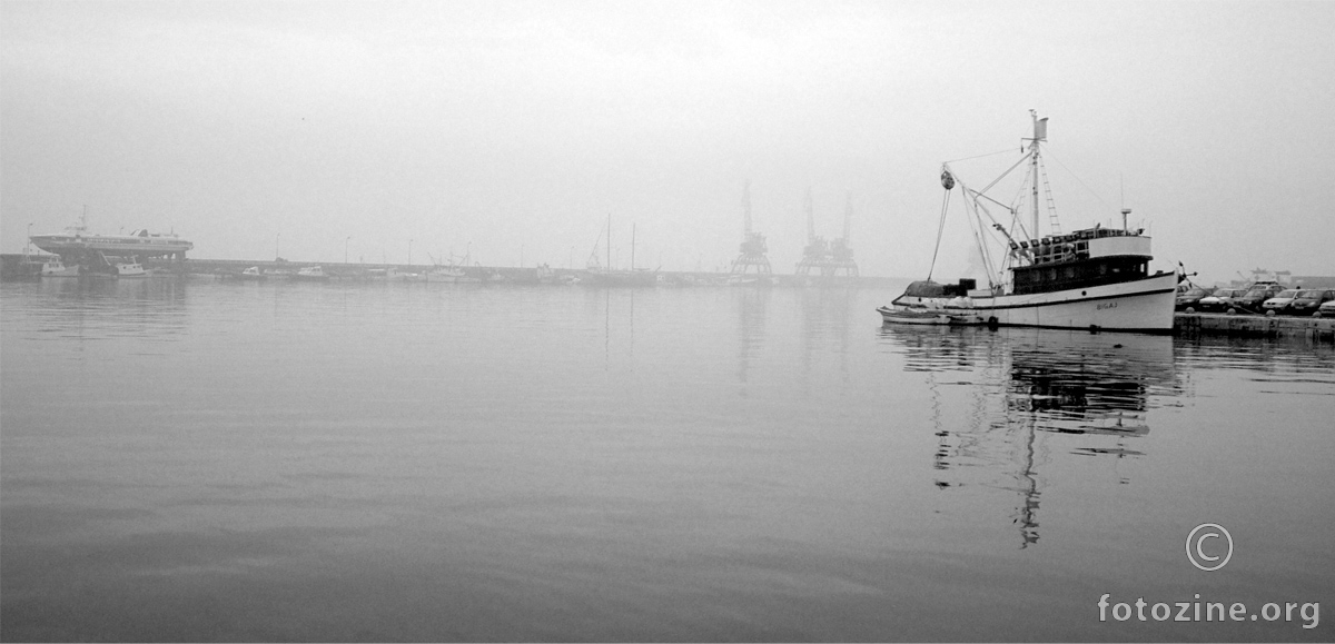 Harbour mist
