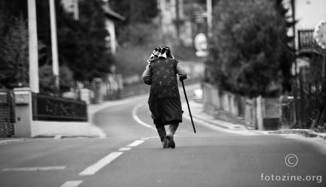 in the Middle of the Street 
