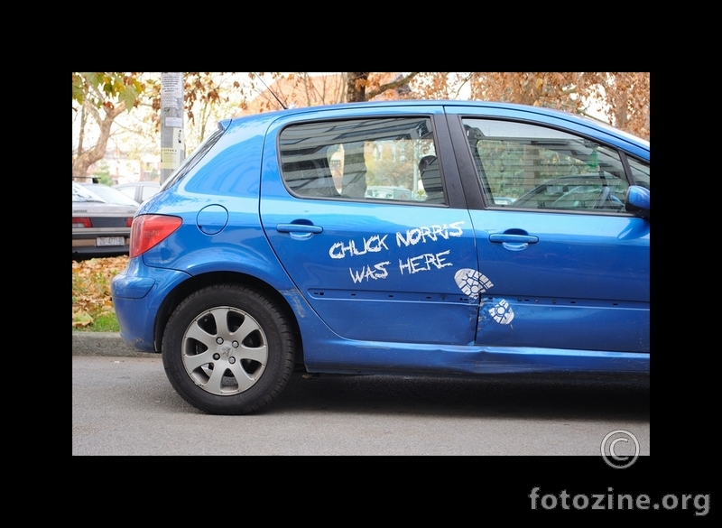 čak noris