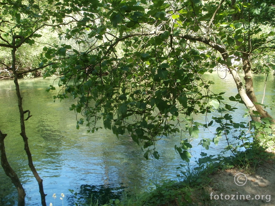 foto br. 361255