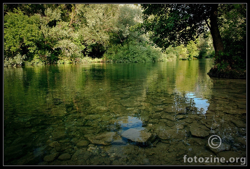 Cetina