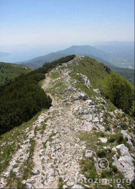 The Ridge