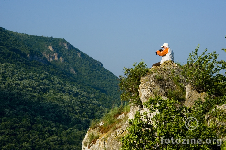 Sićevo 2011. No 2