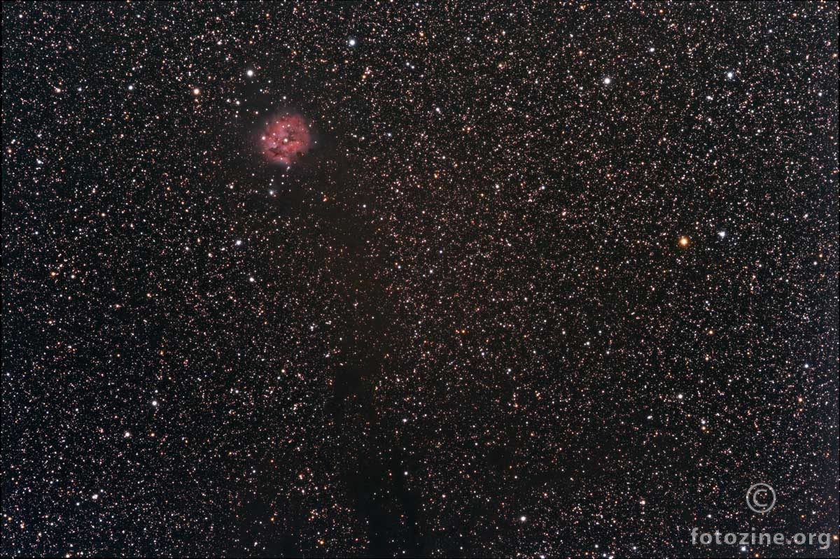 IC5146 - Cocoon maglica