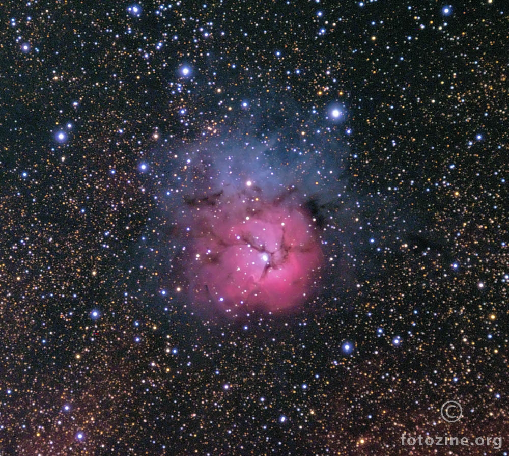 Maglica M20 - Trifid