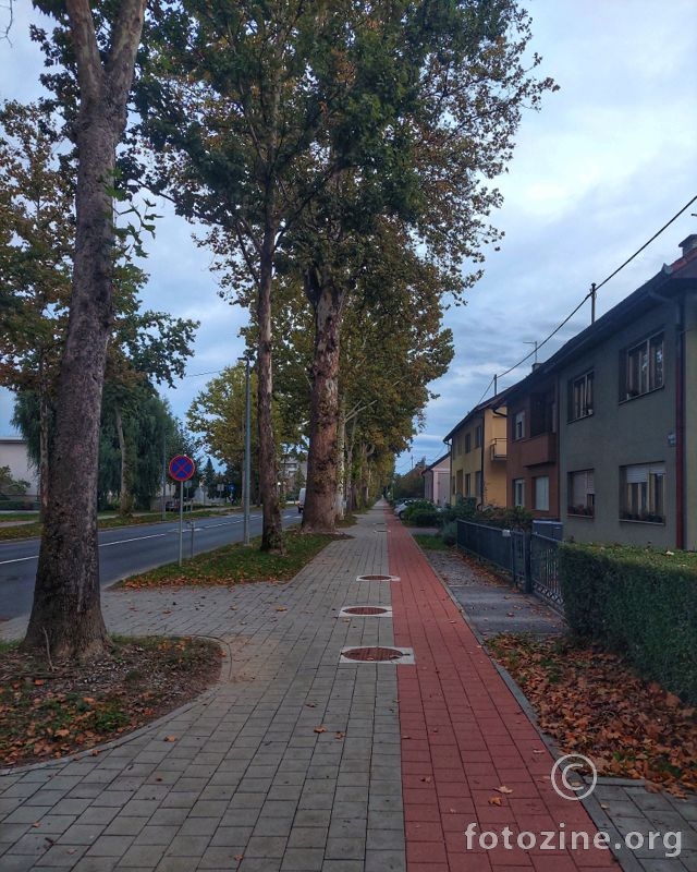 pogled.. u nedogled...