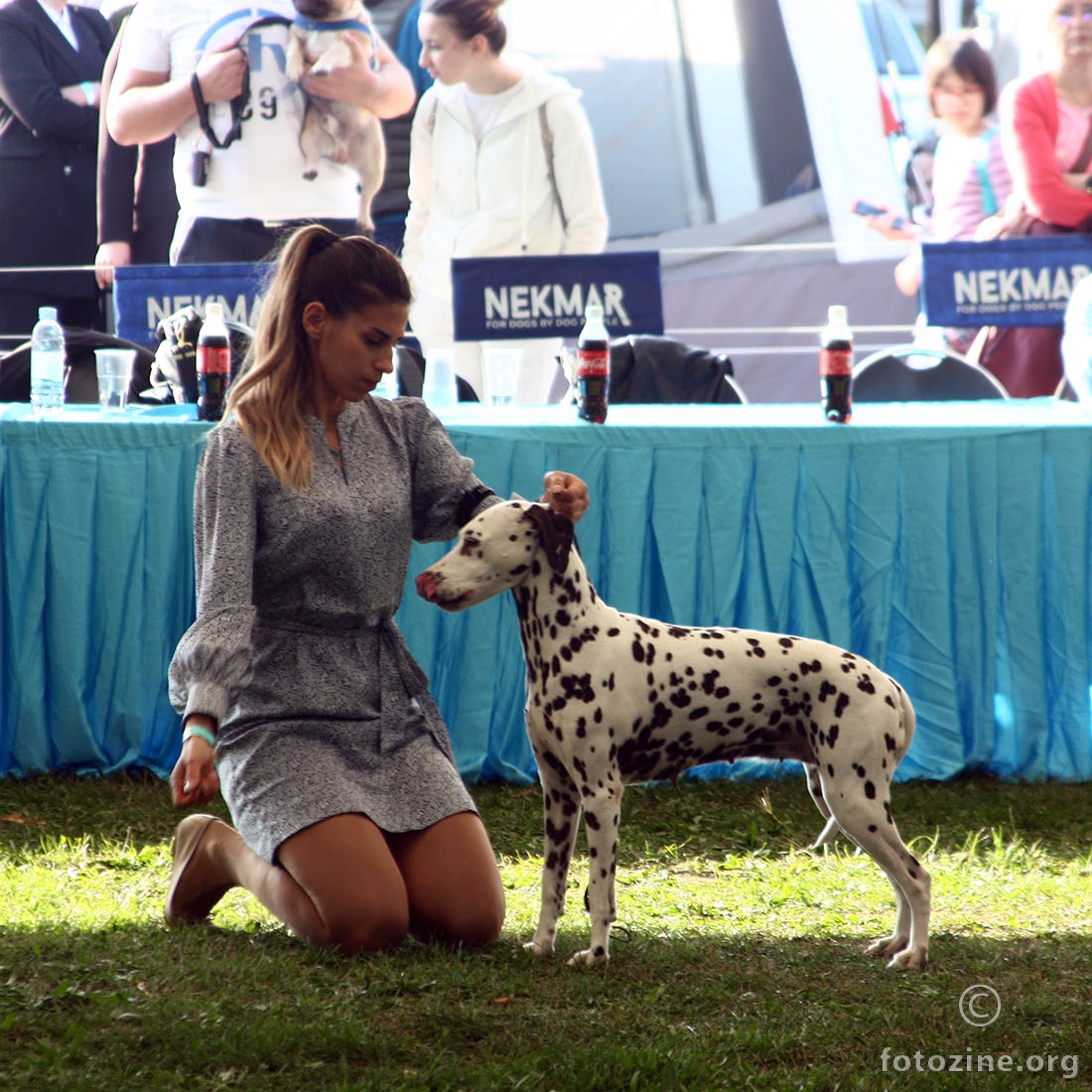 Cacib_KARLOVAC_2021-10
