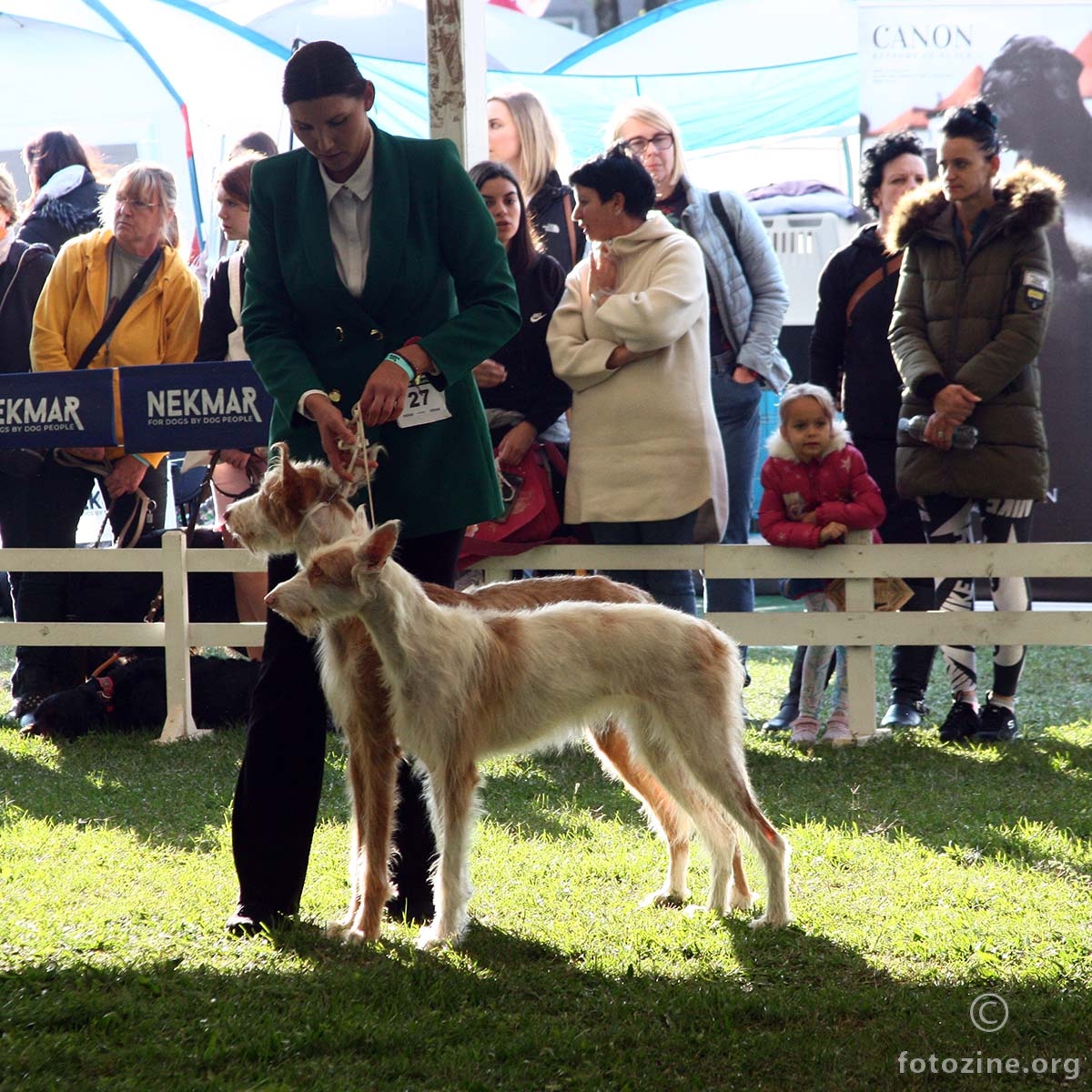 Cacib_KARLOVAC_2021-3