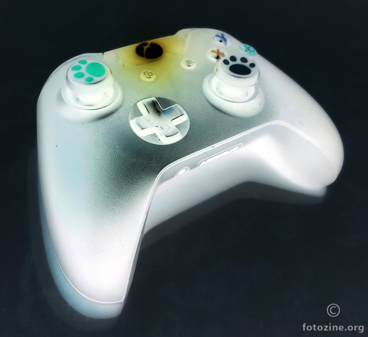 Xbox x negative controller