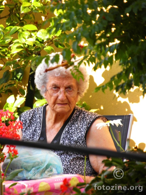 Šinjora