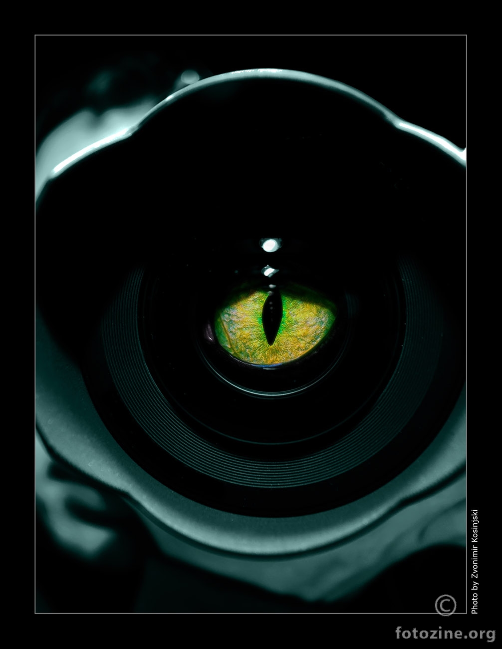 photographer's eye