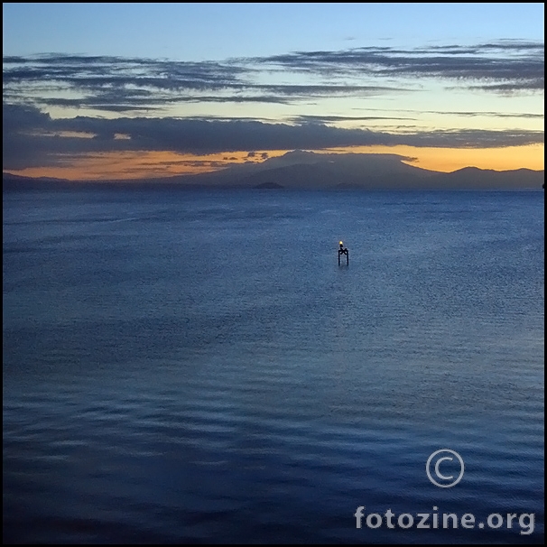 Lonely Light