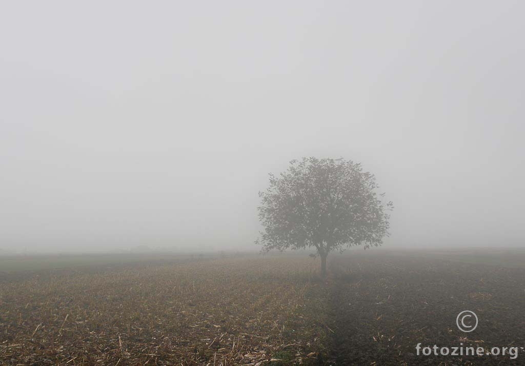 foto br. 477210