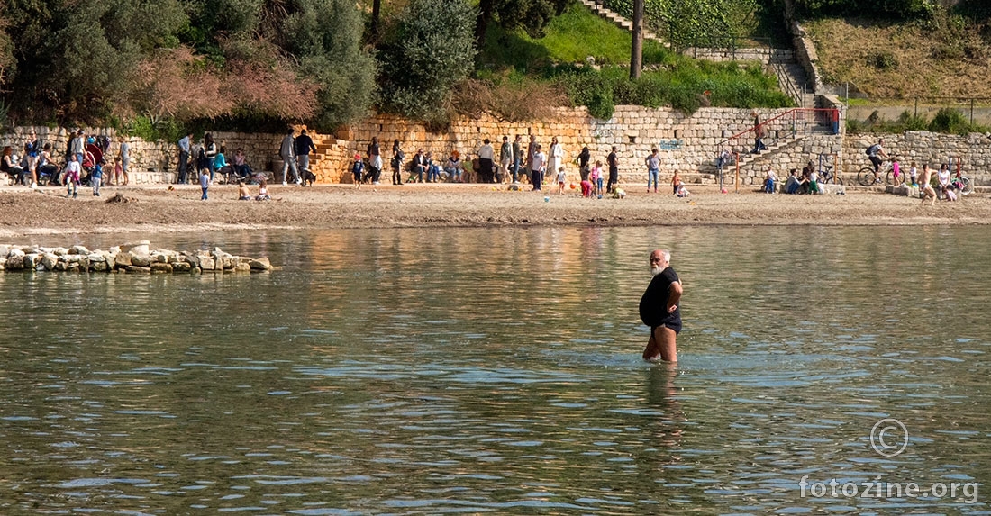 Vjesnik proljeća