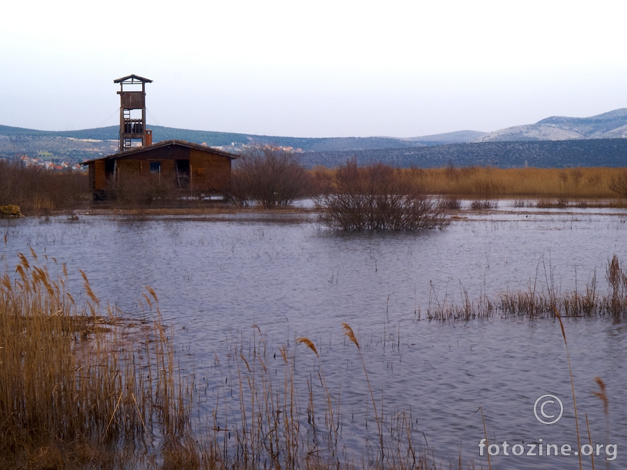 Osmatračnica za ptice