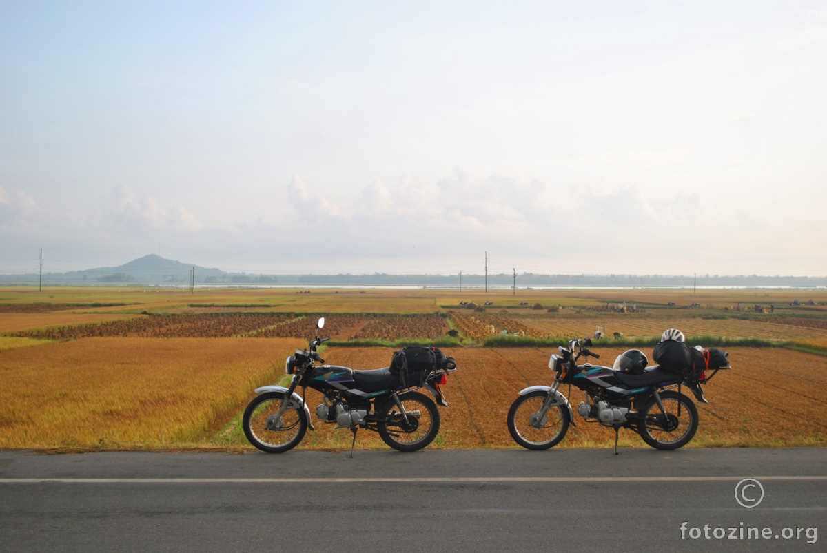 bikes on the road