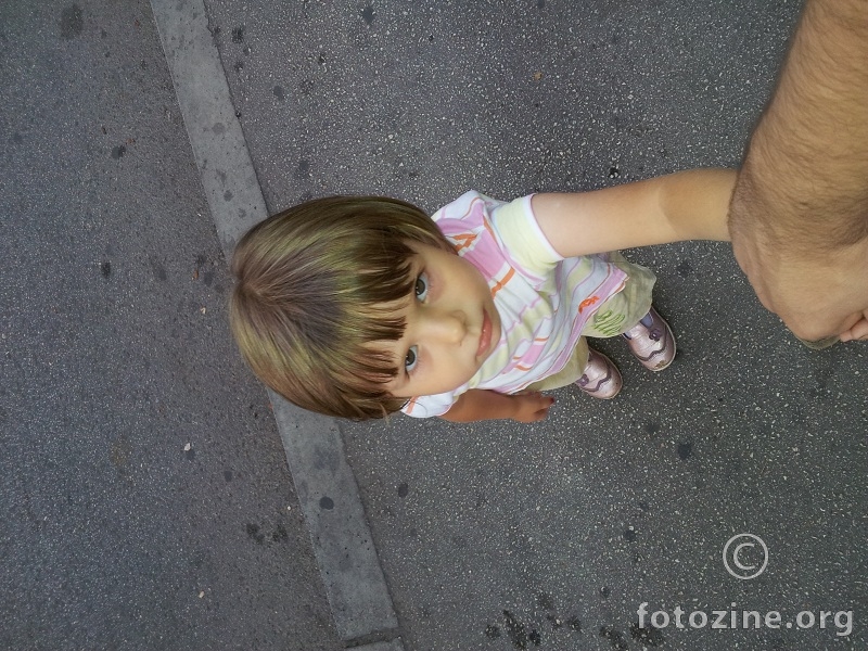 pogled