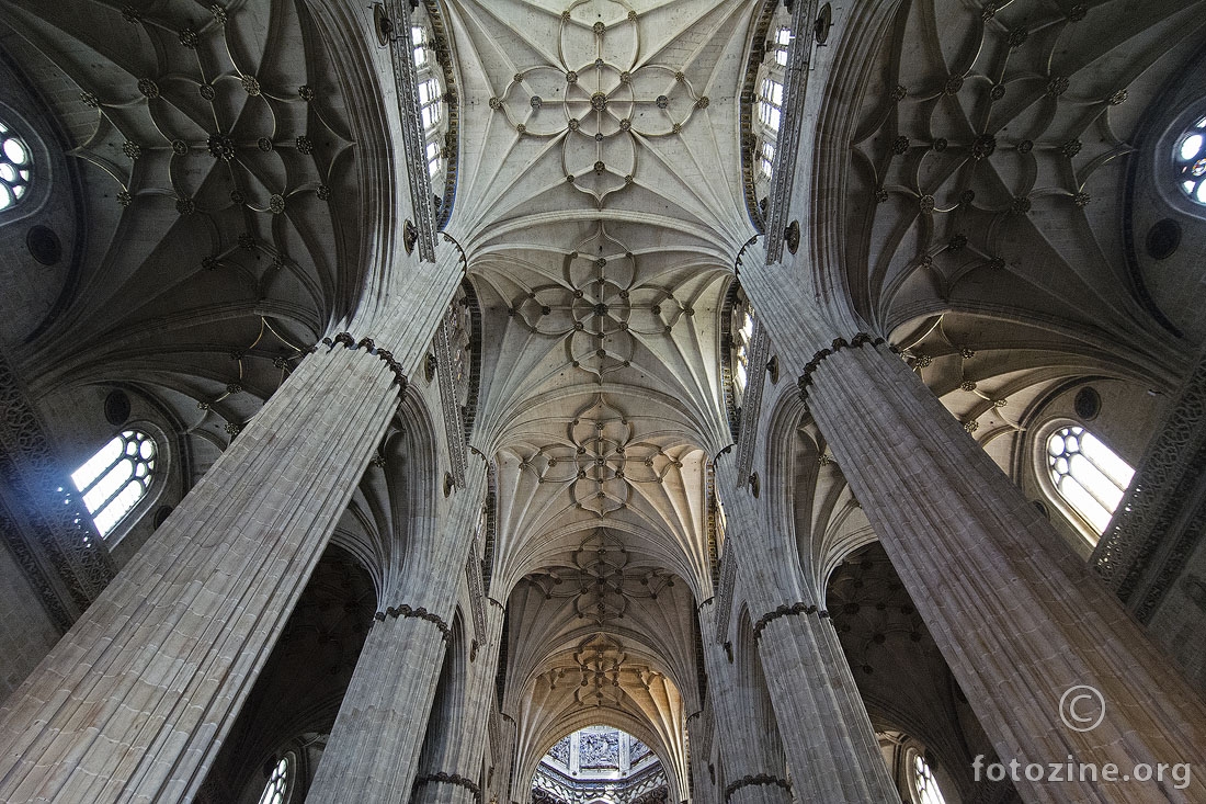 Salamanca 7