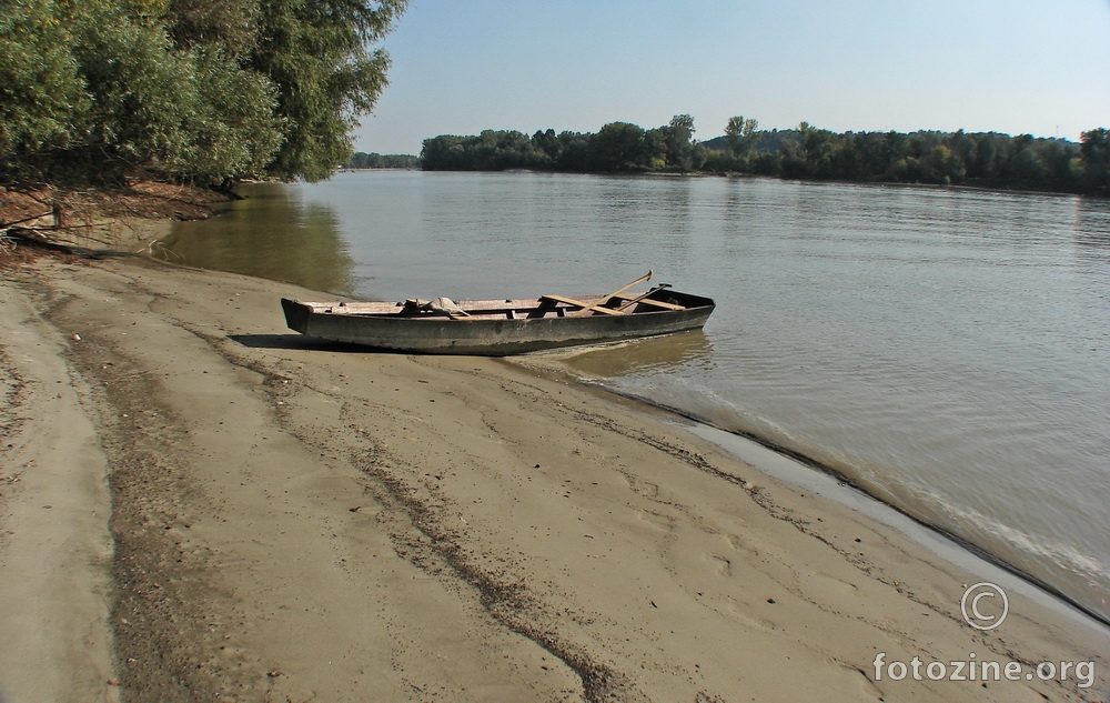 Na Dunavskom pijesku čikla