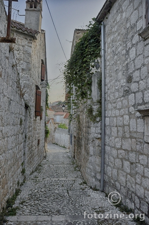 Obična dalmatinska ulica