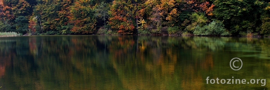 SVE BOJE JESENI