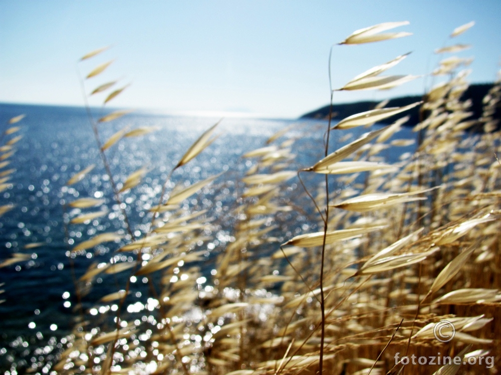 breeze