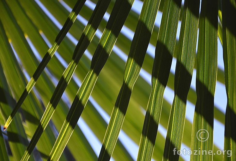 Green_2