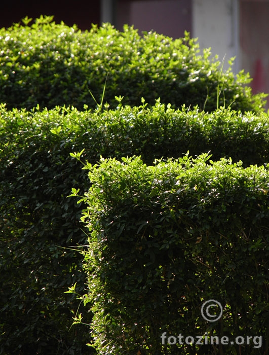 3 Green...