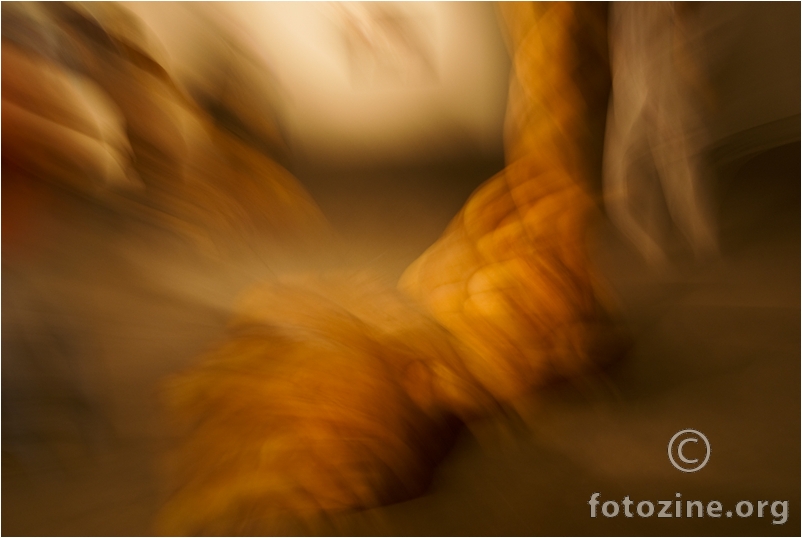 Metamorfose 01