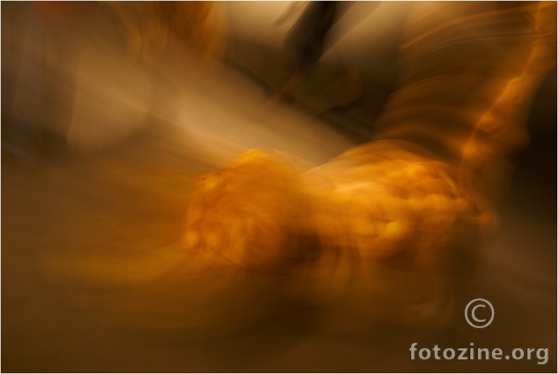 Metamorfose 03