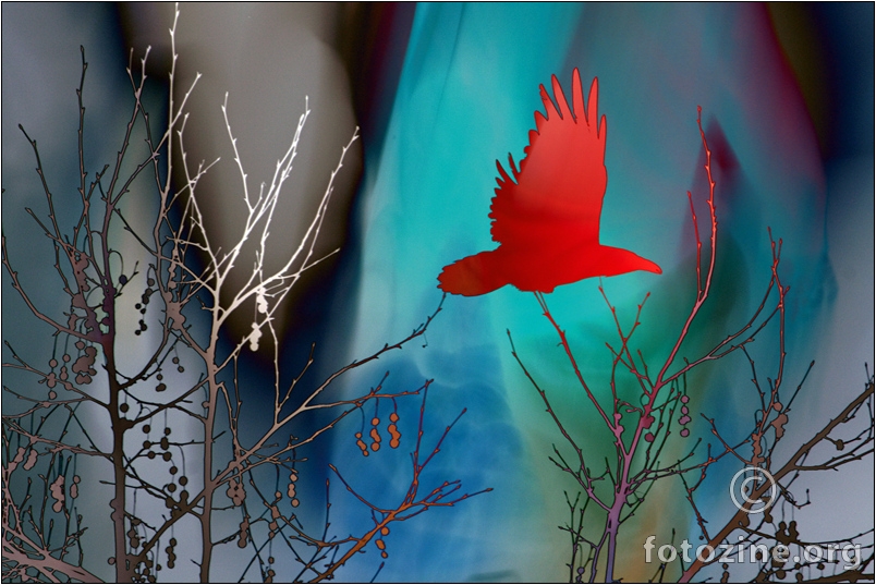 Red Crow