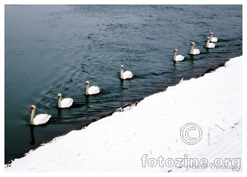 u koloni po jedan po dijagonali...naprijed