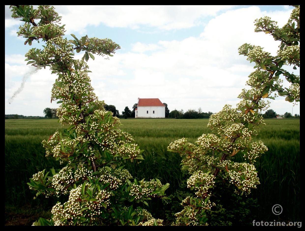 slavonija