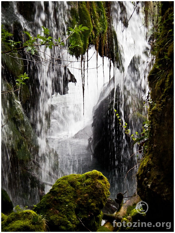 Be water, my friend..