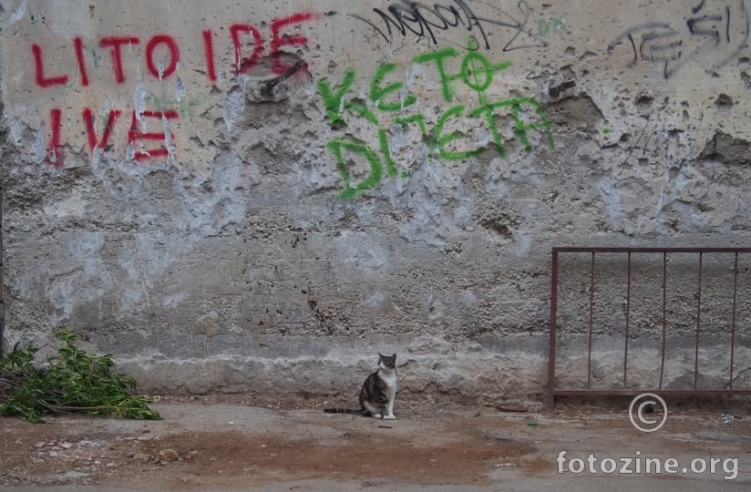 i došlo je Ive