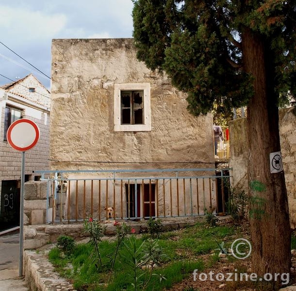 pogled