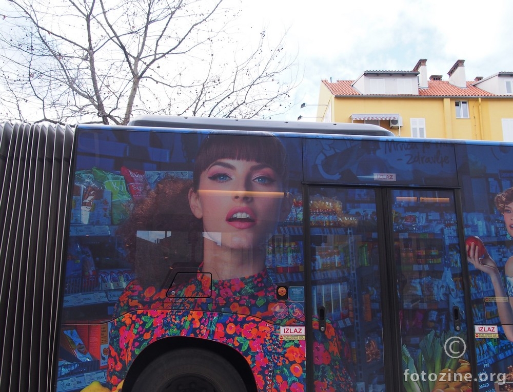 Ljepota je (ne)prolazna