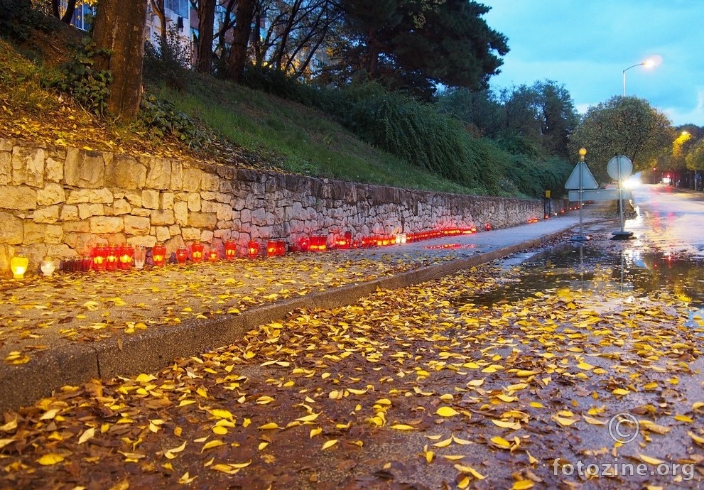 Vukovar u Vukovarskoj ulici